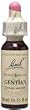 Gentian - 20 ml - Liquid Gentian - 20 ml - Liquid