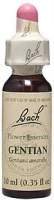 Gentian - 20 ml - Liquid
