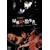 �������̎U���ҁq���S�Łr [DVD]