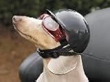 Doggie Bike or Motorcycle Helmet ~ Small Black