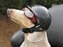 Doggie Bike or Motorcycle Helmet ~ Small Black