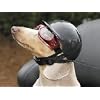 Doggie Bike or Motorcycle Helmet ~ Small Black