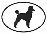 Poodle Sticker