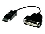 PowerColor DP TO SL DVI ADAPTER Active DisplayPort to Single-Link DVI-D Adapter