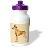 Dogs Miniature Pinscher - Red Miniature Pinscher - Water Bottles