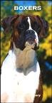 Boxers 2008 Slim Engagement Calendar - Dog Calendars