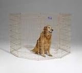 Midwest Container 8 Panel Exercise Pen Gold 24x42 Inch - 546-42