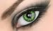 Green - Colored Contact Lenses (Non-Prescription)