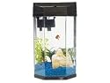 infactory Aquarium Neptun