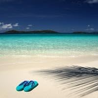 1oz Bottle Butt Naked Fragrance Oil