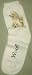 Poodles Puppies Dogs Woof Ladies Socks 9-11