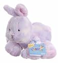 Webkinz Sherbet Bunny
