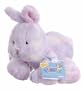 Webkinz Sherbet Bunny