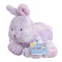 Webkinz Sherbet Bunny