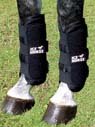 Ice Horse Tendon Wraps
