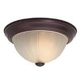 Review   / 11-Inch Flushmount Ceiling Fixture from Destination Lighting