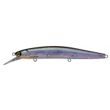 アムズデザイン(ima) FLIT 120 サスペンド #FT120-004 ワカサギゴースト