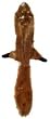 SPOT SKINNEEEZ PLSH SQUIRL 24"