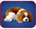 LIFE LIKE KING CHARLES SPANIEL PUPPY