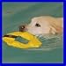 Frequent Flyer Dog Fetch Toy Water Dock Hunting Agility Training