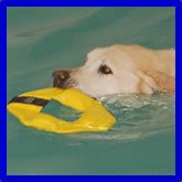Frequent Flyer Dog Fetch Toy Water Dock Hunting Agility Training