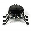 HexBug Bravo Micro Robotic Creatures