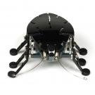 HexBug Bravo Micro Robotic Creatures