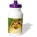 image 6 - Dogs SheltieShetland Sheepdog Shetland Sheepdog Water Bottles