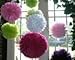 Pom Poms 6 Pack 10