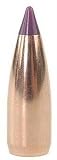 6mm 55Gr Spitzer Ballistic Tip