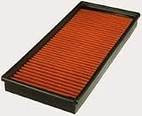 FRAM PPA6366 Air Hog Panel Filter