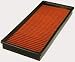 Automotive : FRAM PPA6366 Air Hog Panel Filter