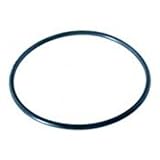 Hayward TriStar Pool pump Lid O-ring SPX3200S