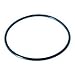 Hayward TriStar Pool pump Lid O-ring SPX3200S