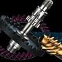 Daiwa Saltist 6000H Saltwater Spinning Reels