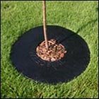 Weedseal Heavy Duty 32" Diameter Ring