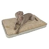 Memory Sleeper Medium 23 x 35 x 3.75, Mocha