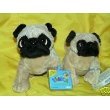 Webkinz Pug Dog & Lil Kinz Pug Set