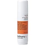 Anthony Logistics Sun Stick SPF 15