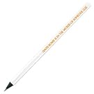 David Bowie is in the words of someone else Pencil ||EVAEX