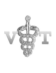 NursingPin - Vet Tech VT Diamond Graduation Pin in Silver