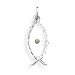 Ichthys Pendant with Mustard Seed