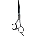 MATSUKA 5 1/2 inch Japanese Steel Shears (Model: MK-55) with FREE HAIRART Shampoo & C...