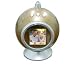 Senario 22628 Digital Photo Gold Ornament