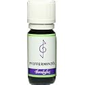 Pfefferminzöl, 10 ml