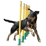 Company Of Animals Clix Agility Weave Poles