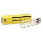 Clear Showcase Incandescent Bulb, 60 Watts GEL17292