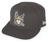 Lynchburg Hillcats Batting Practice Cap by New Era
