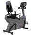 Life Fitness 9500RHR (Next Generation) Recumbent Bike – Remanufactured