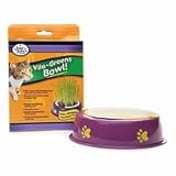 Four Paws Vita-Greens Bowl 1 ea